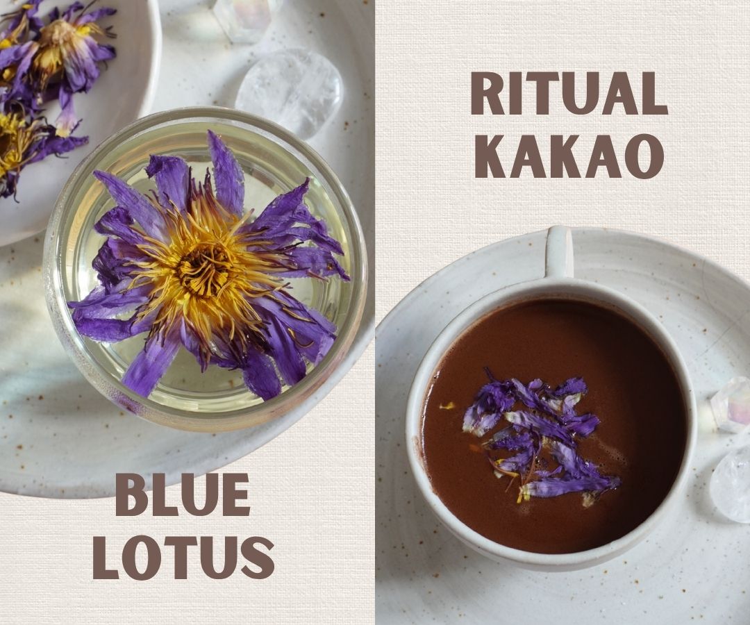 Blue Lotus und Ritualkakao