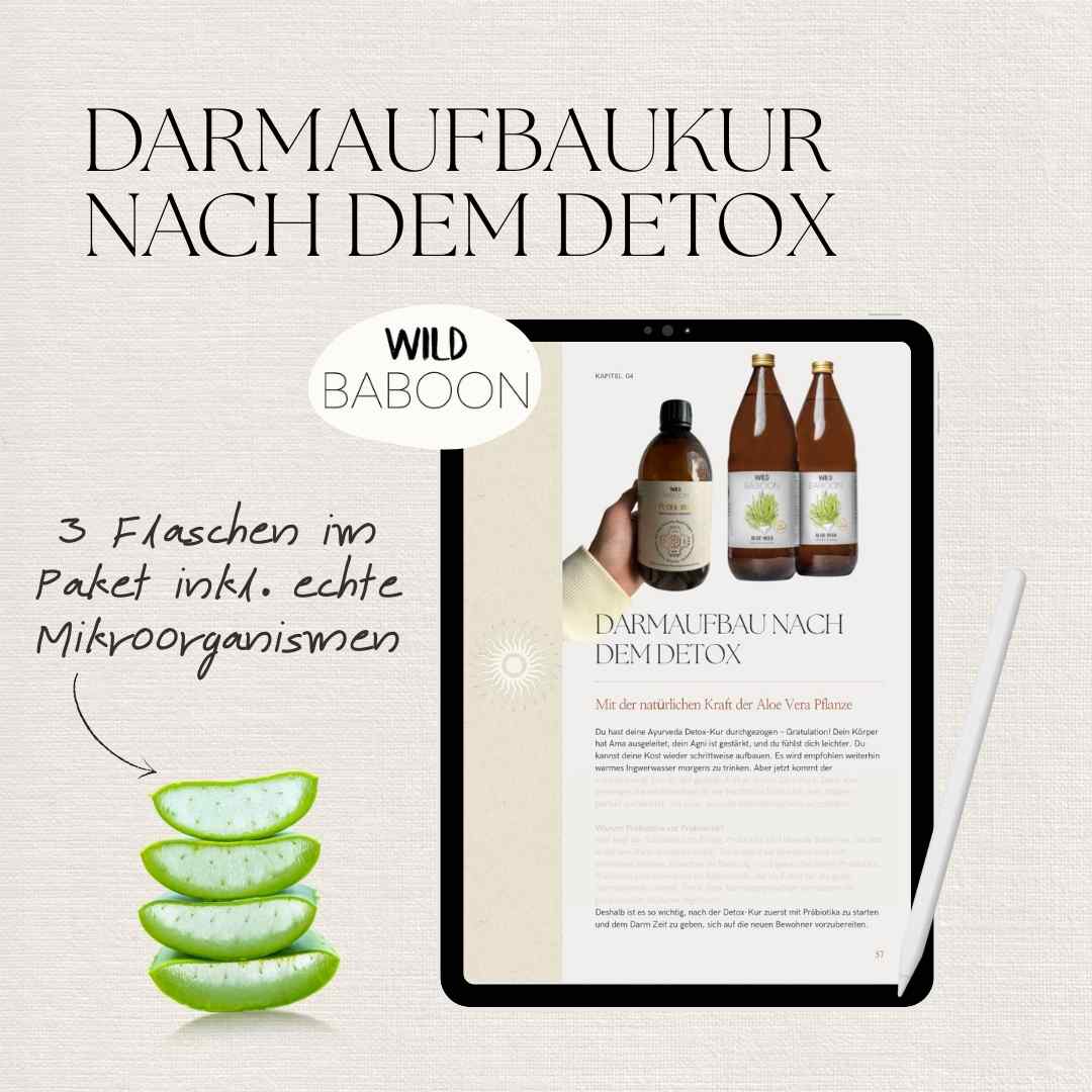 8 Tage Ayurveda Detox inkl. Darmaufbaukur