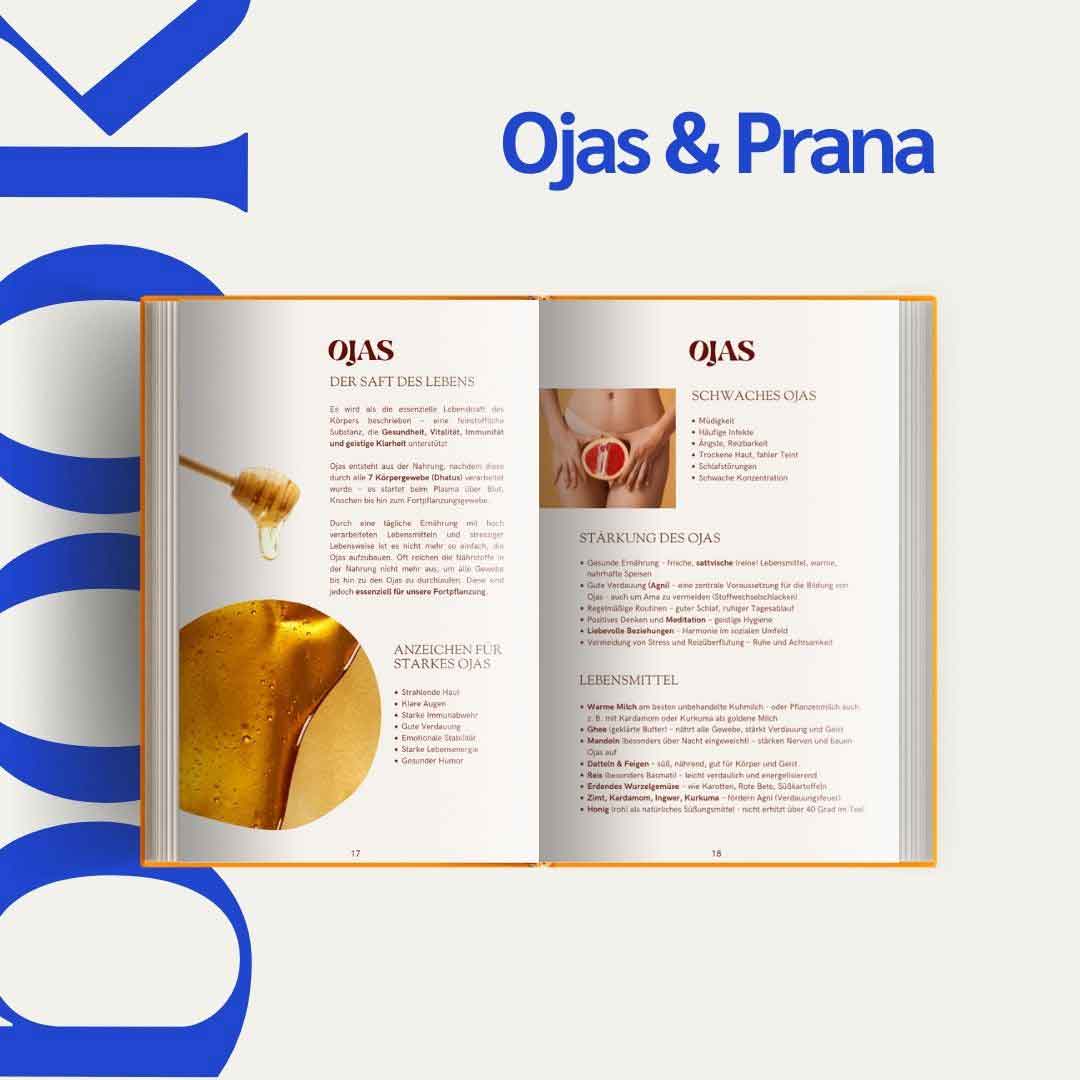 Ayurveda eBook - EAT THE RAINBOW