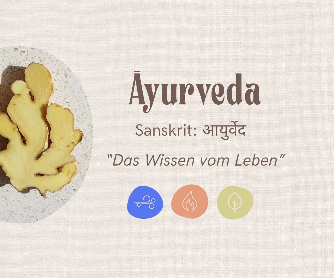 Ayurveda Basic Wissen