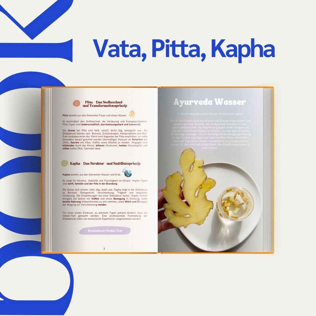 GRATIS Ayurveda Detox Guide